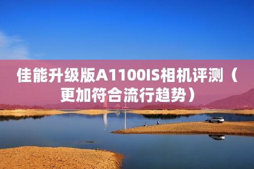 佳能升级版A1100IS相机评测（更加符合流行趋势）