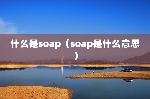 什么是soap（soap是什么意思）