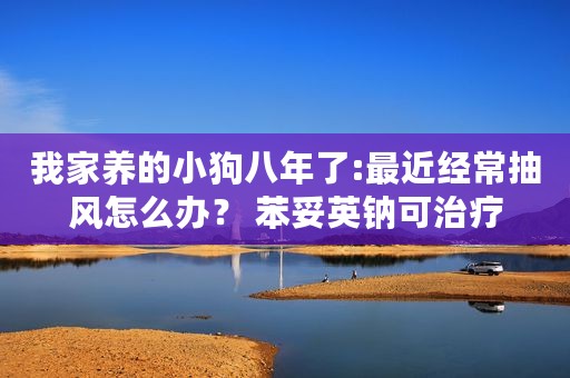 我家养的小狗八年了:最近经常抽风怎么办？ 苯妥英钠可治疗