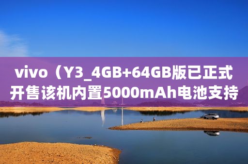 vivo（Y3_4GB+64GB版已正式开售该机内置5000mAh电池支持18W双引擎闪充）