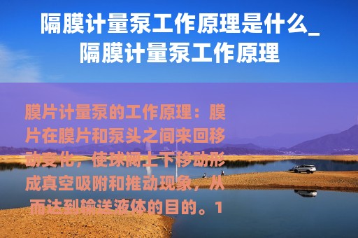 隔膜计量泵工作原理是什么_隔膜计量泵工作原理