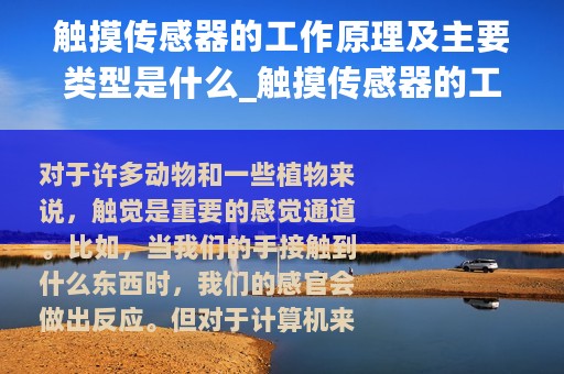 触摸传感器的工作原理及主要类型是什么_触摸传感器的工作原理及主要类型