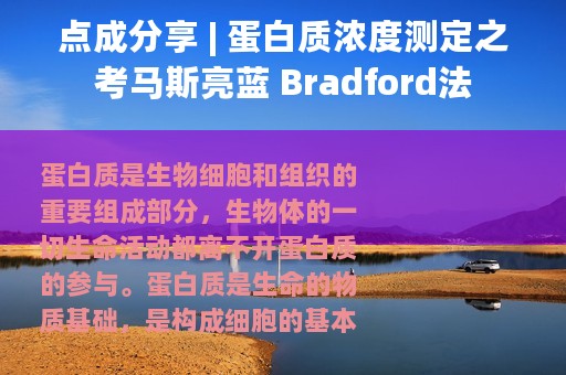 点成分享 | 蛋白质浓度测定之考马斯亮蓝 Bradford法