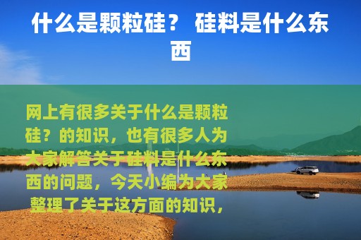 什么是颗粒硅？ 硅料是什么东西
