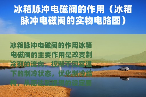 冰箱脉冲电磁阀的作用（冰箱脉冲电磁阀的实物电路图）