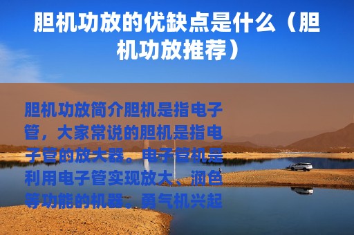 胆机功放的优缺点是什么（胆机功放推荐）