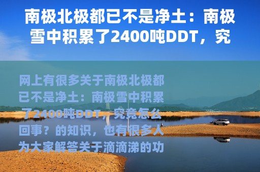 南极北极都已不是净土：南极雪中积累了2400吨DDT，究竟怎么回事？ 滴滴涕的功与过