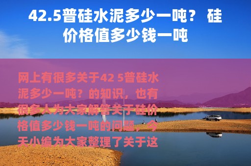42.5普硅水泥多少一吨？ 硅价格值多少钱一吨