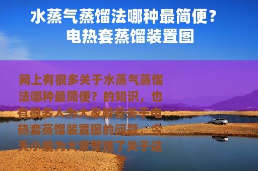 水蒸气蒸馏法哪种最简便？ 电热套蒸馏装置图