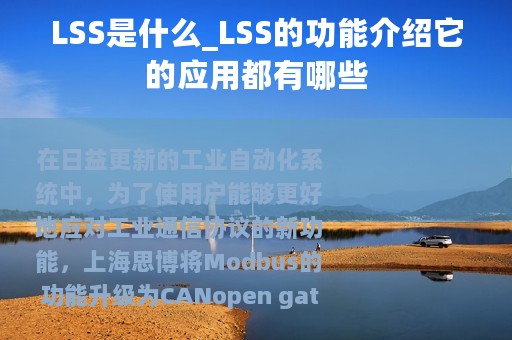LSS是什么_LSS的功能介绍它的应用都有哪些