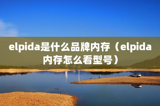 elpida是什么品牌内存（elpida内存怎么看型号）