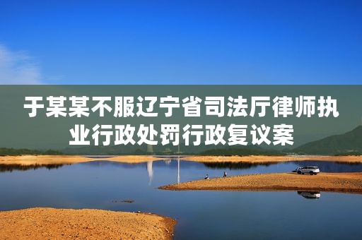 于某某不服辽宁省司法厅律师执业行政处罚行政复议案