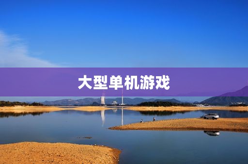 大型单机游戏