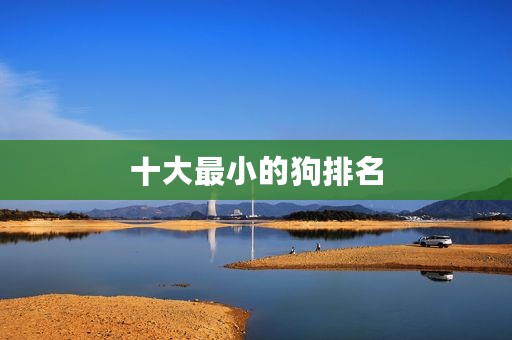 十大最小的狗排名