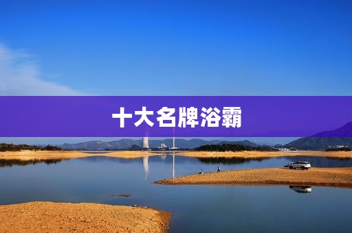 十大名牌浴霸 十大名牌浴霸