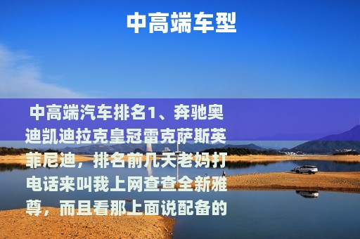 中高端车型