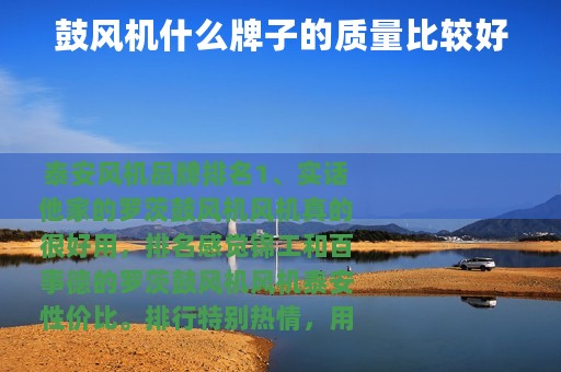 鼓风机什么牌子的质量比较好