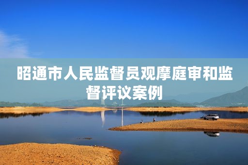 昭通市人民监督员观摩庭审和监督评议案例