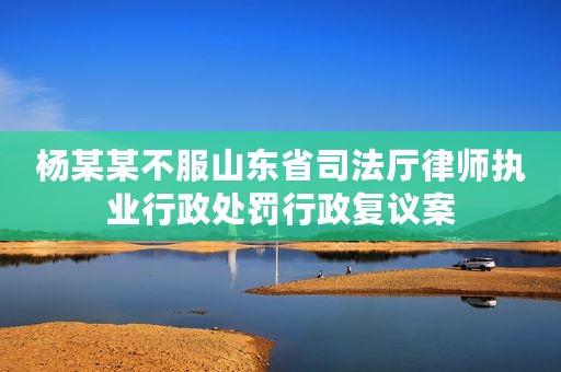杨某某不服山东省司法厅律师执业行政处罚行政复议案