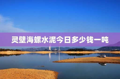 灵壁海螺水泥今日多少钱一吨