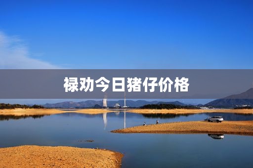 禄劝今日猪仔价格