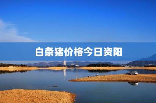 白条猪价格今日资阳