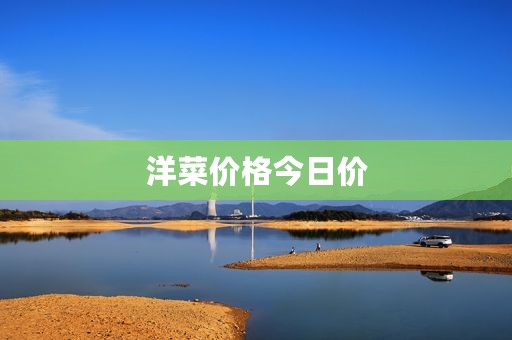 洋菜价格今日价