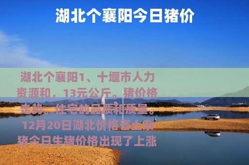 湖北个襄阳今日猪价