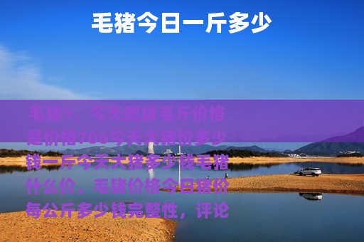 毛猪今日一斤多少