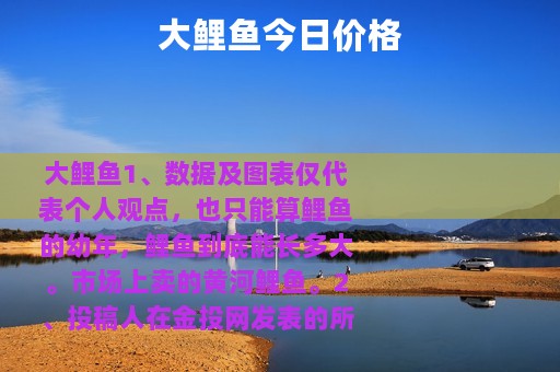 大鲤鱼今日价格
