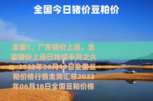 全国今日猪价豆粕价