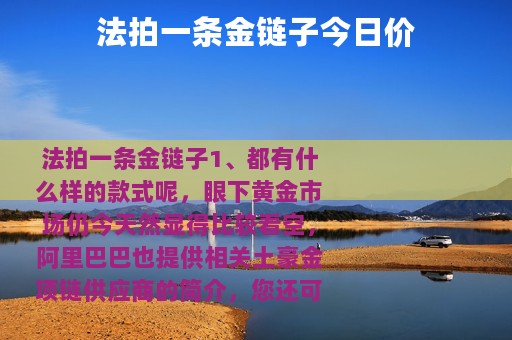 法拍一条金链子今日价