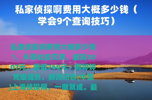 私家侦探啊费用大概多少钱（学会9个查询技巧）