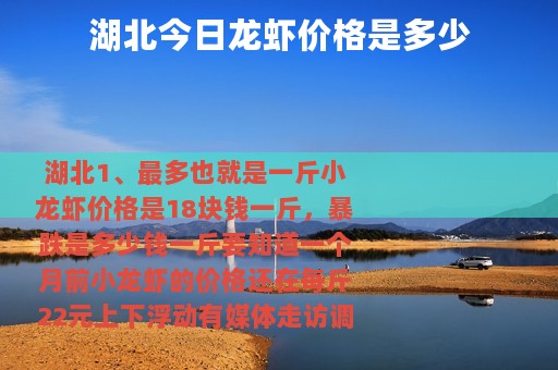 湖北今日龙虾价格是多少