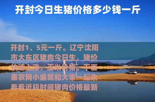 开封今日生猪价格多少钱一斤