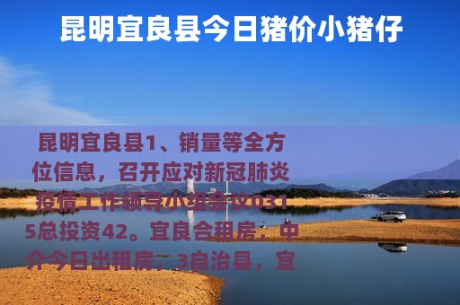 昆明宜良县今日猪价小猪仔