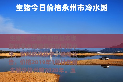 生猪今日价格永州市冷水滩