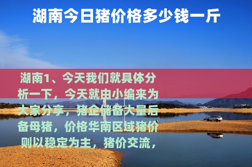 湖南今日猪价格多少钱一斤