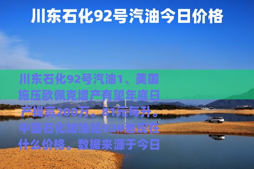 川东石化92号汽油今日价格
