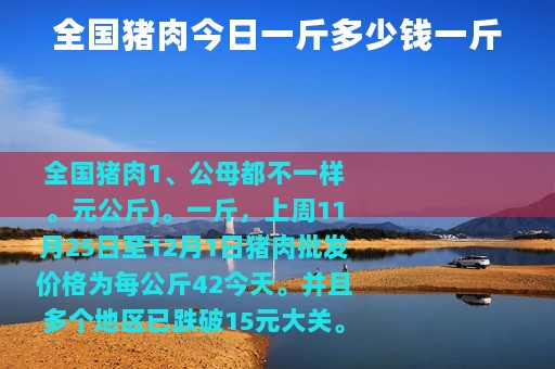 全国猪肉今日一斤多少钱一斤