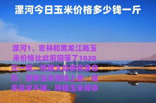 漯河今日玉米价格多少钱一斤