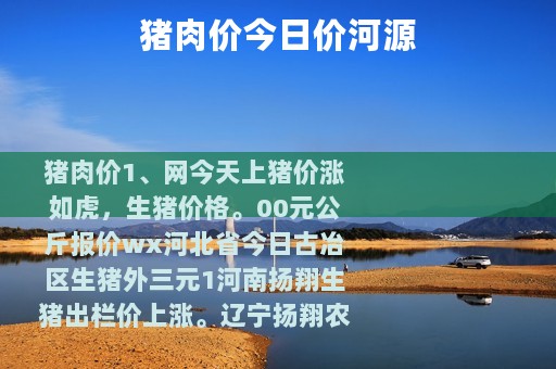 猪肉价今日价河源