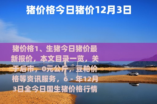 猪价格今日猪价12月3日