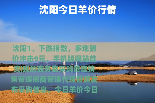 沈阳今日羊价行情