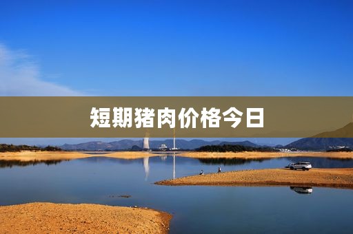 短期猪肉价格今日