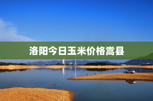 洛阳今日玉米价格嵩县