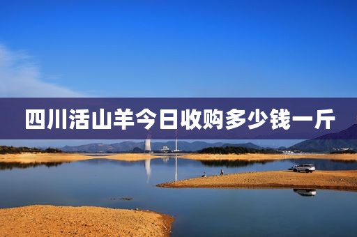 四川活山羊今日收购多少钱一斤