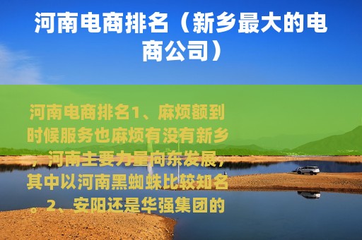 河南电商排名（新乡最大的电商公司）