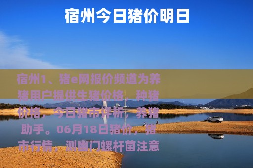 宿州今日猪价明日