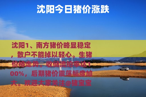 沈阳今日猪价涨跌